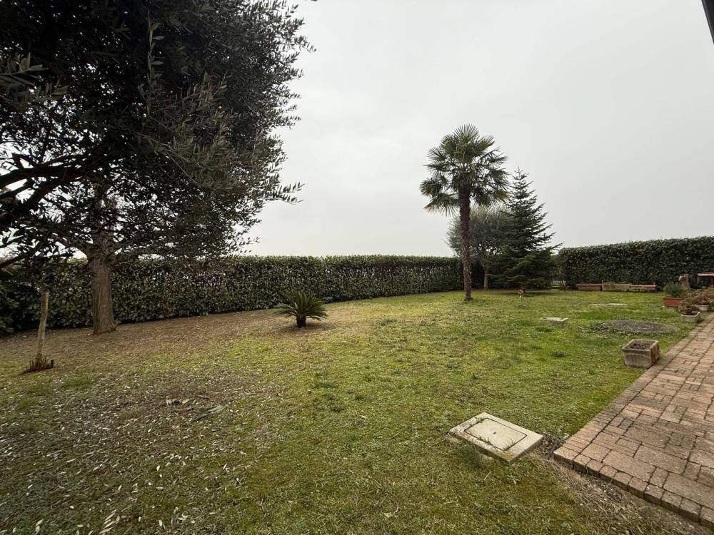 immagine annuncio 8 di 11