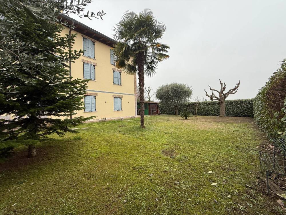 immagine annuncio 9 di 11