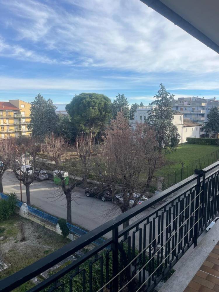 immagine annuncio 4 di 13