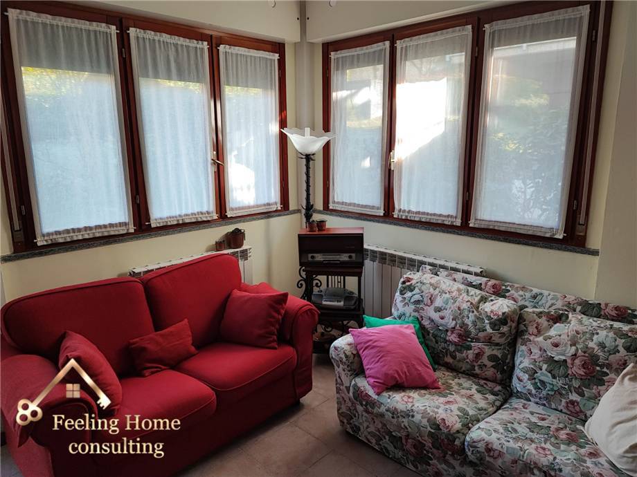 immagine annuncio 3 di 13