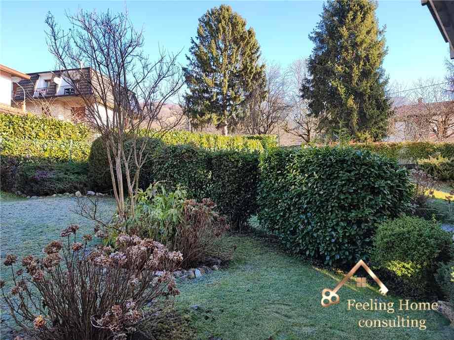 immagine annuncio 4 di 13