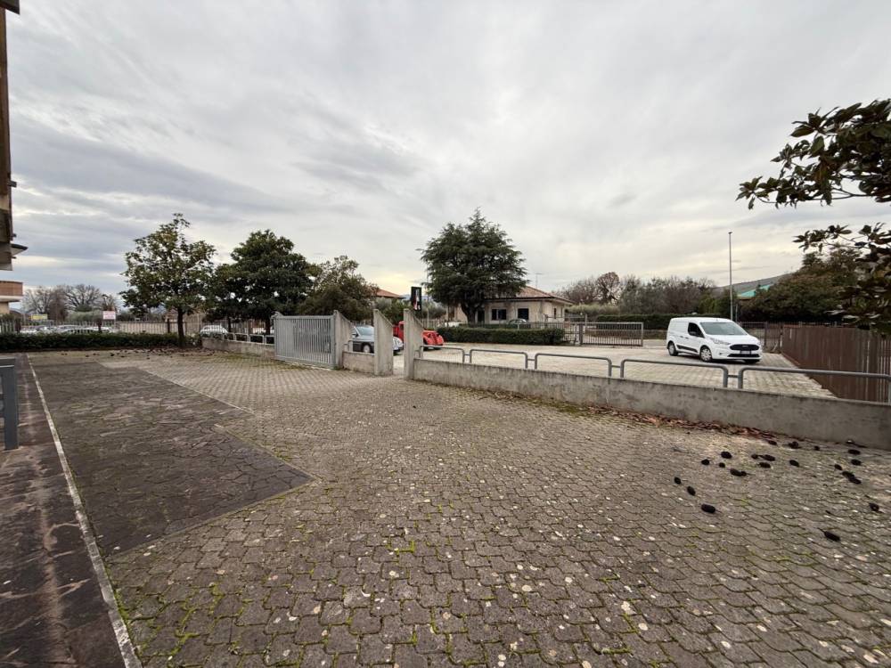 immagine annuncio 6 di 13