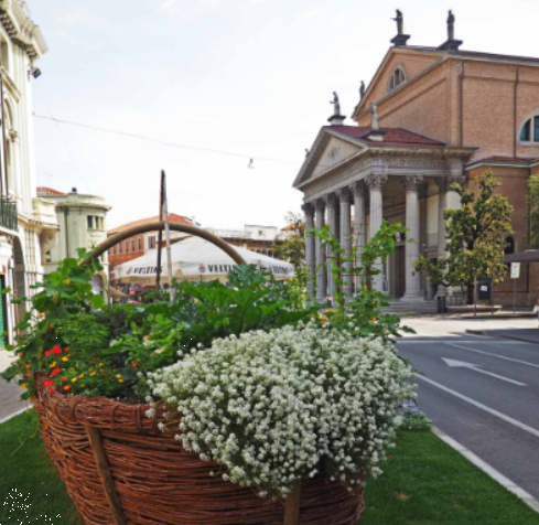 immagine annuncio 11 di 13