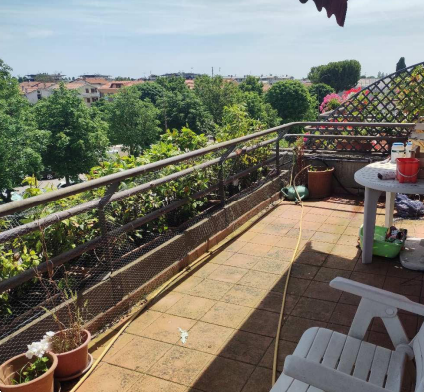 immagine annuncio 4 di 13