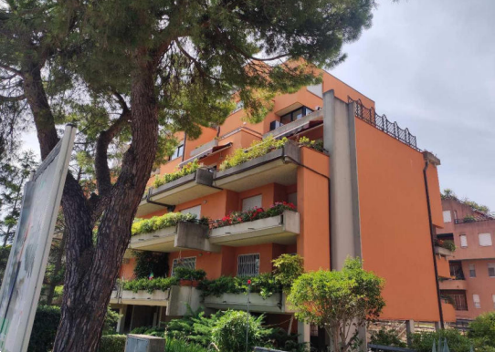 immagine annuncio 5 di 13