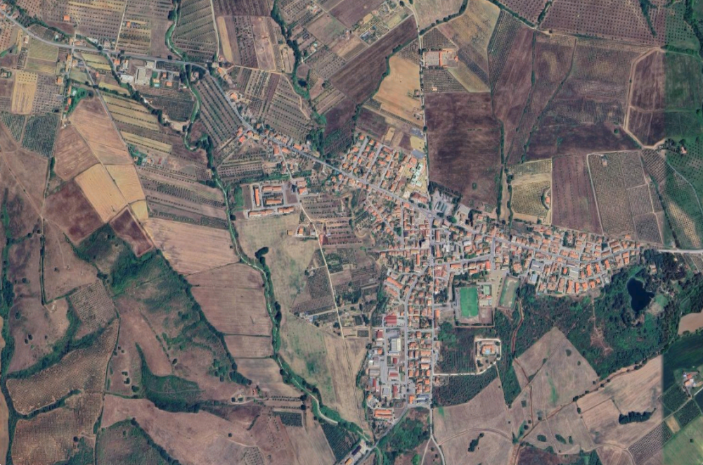 immagine annuncio 2 di 13