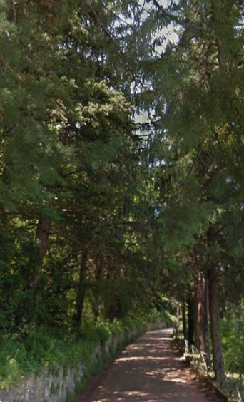 immagine annuncio 5 di 13