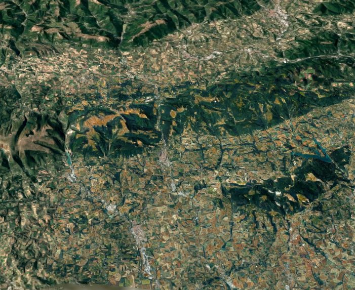 immagine annuncio 10 di 13