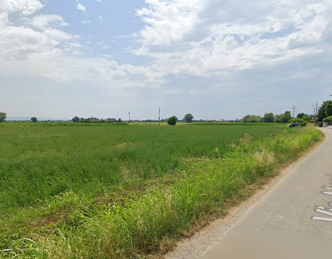 immagine annuncio 2 di 11