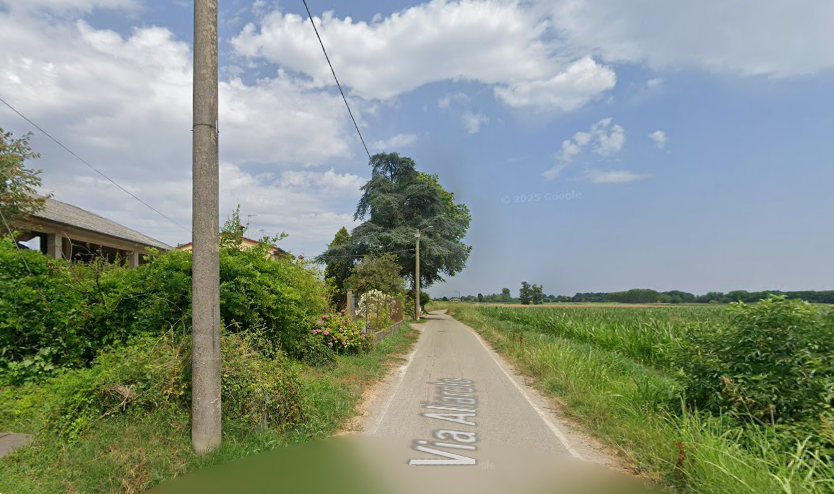 immagine annuncio 3 di 11