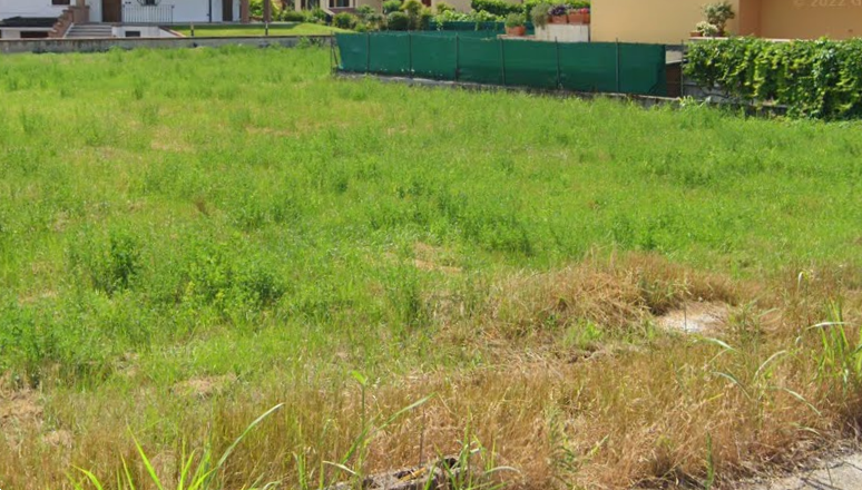 immagine annuncio 3 di 13