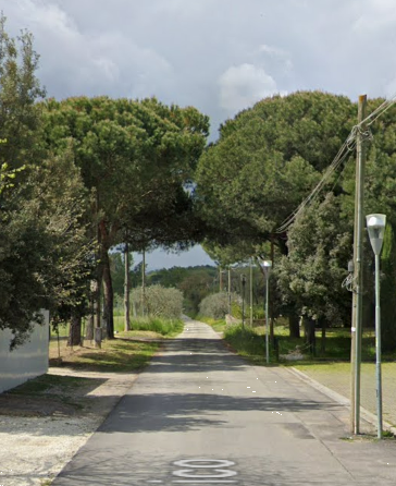 immagine annuncio 9 di 13