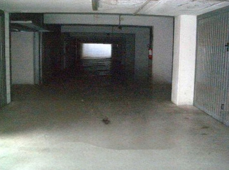 immagine annuncio 7 di 13