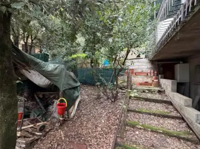 immagine annuncio 2 di 13