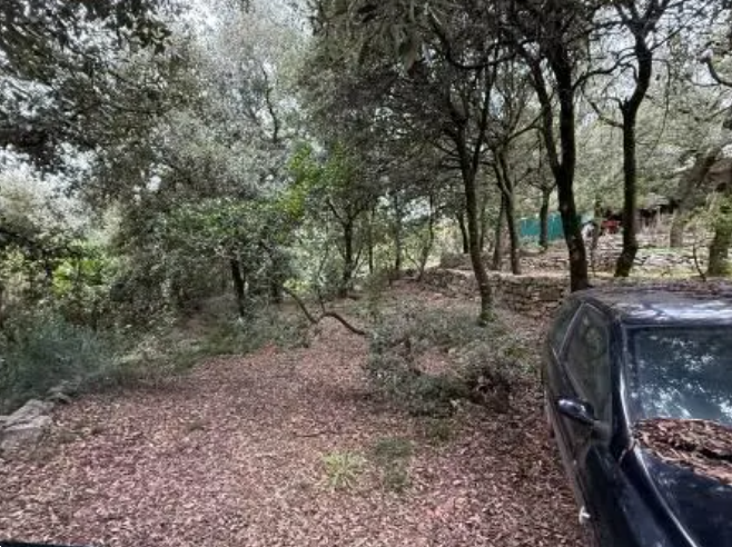 immagine annuncio 6 di 13