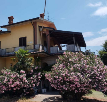 immagine annuncio 2 di 13