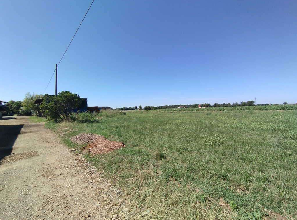 immagine annuncio 2 di 11