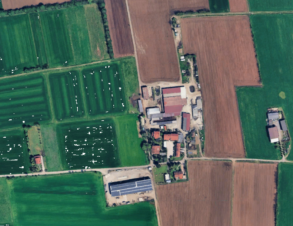 immagine annuncio 7 di 11