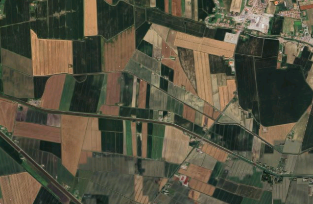 immagine annuncio 11 di 13