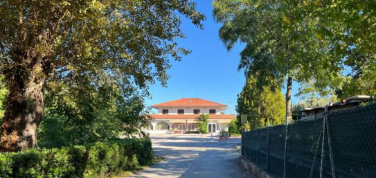 immagine annuncio 7 di 13