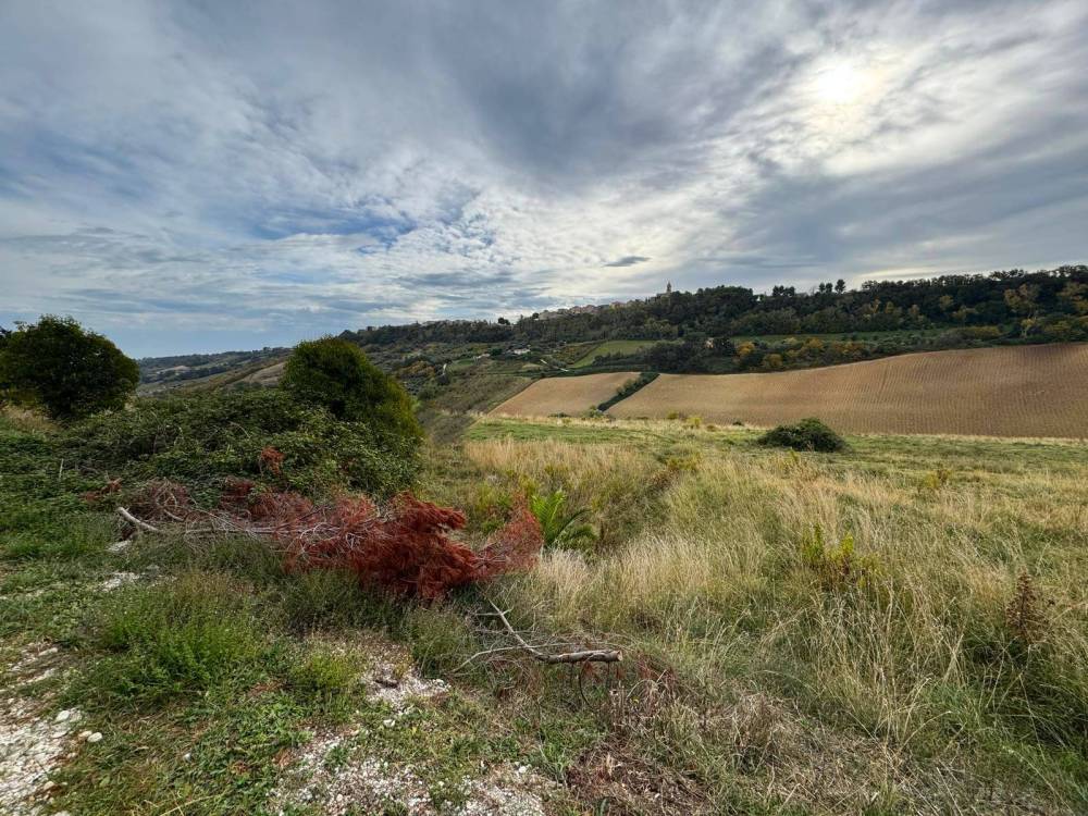 immagine annuncio 3 di 9