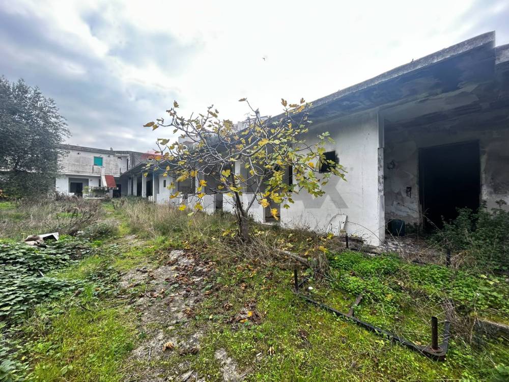 immagine annuncio 7 di 13