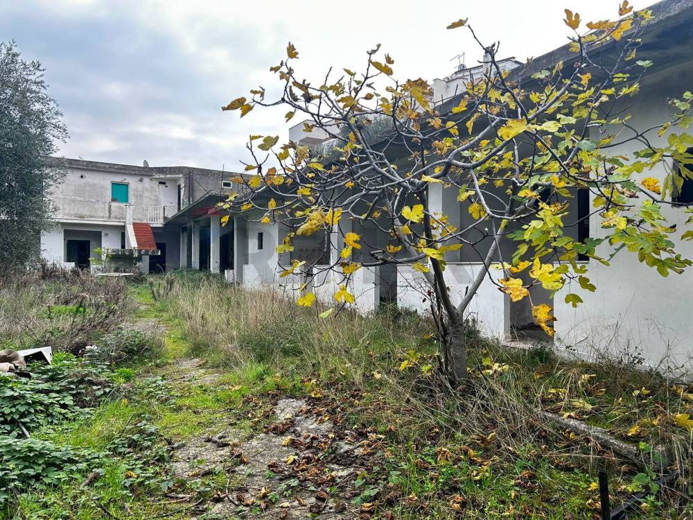 immagine annuncio 8 di 13