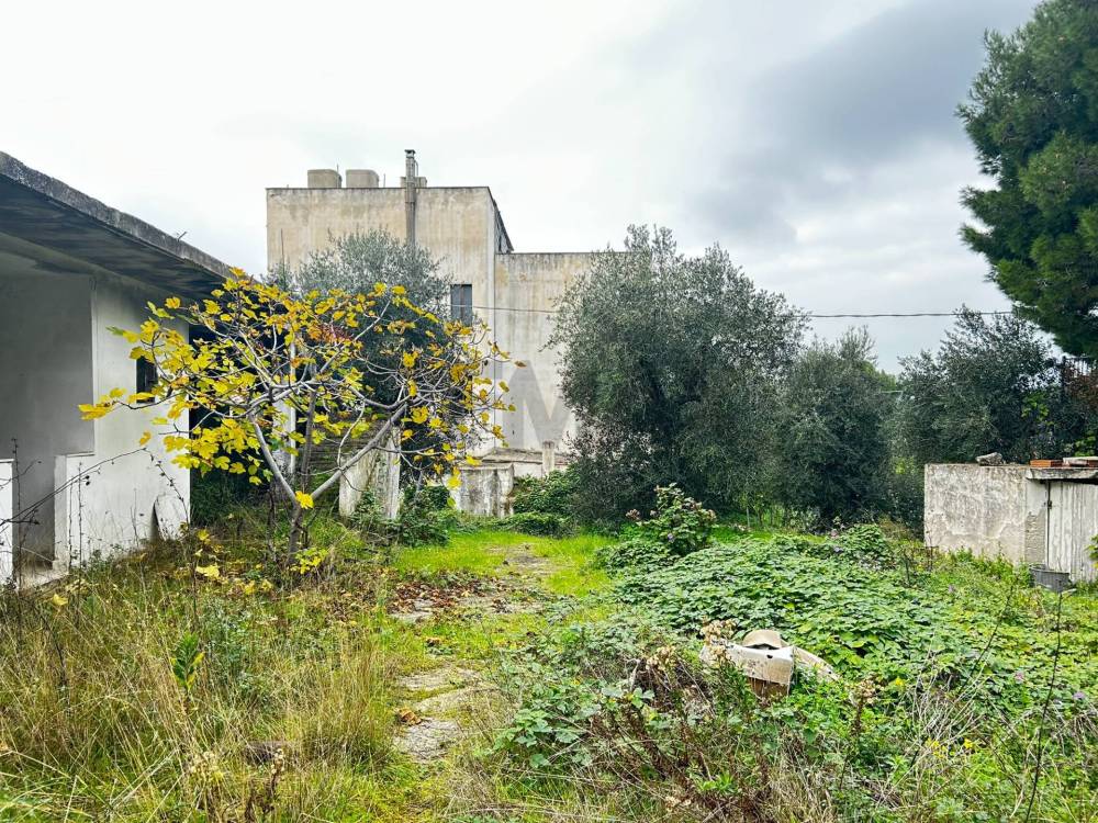 immagine annuncio 6 di 13