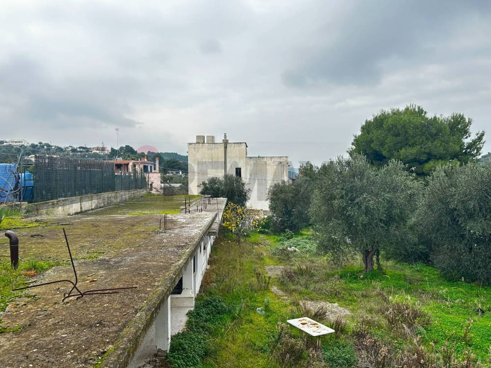 immagine annuncio 10 di 13