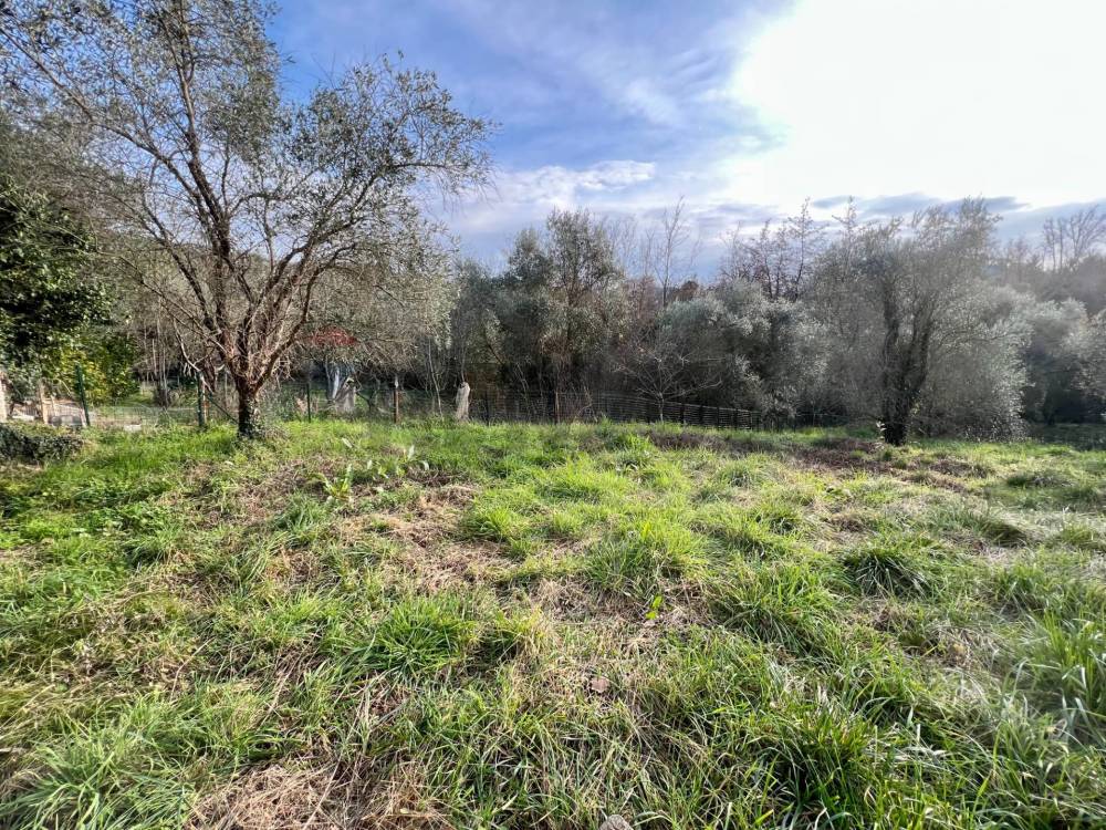 immagine annuncio 4 di 13