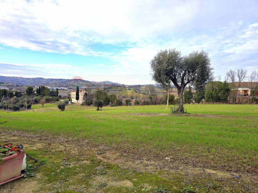 immagine annuncio 7 di 11