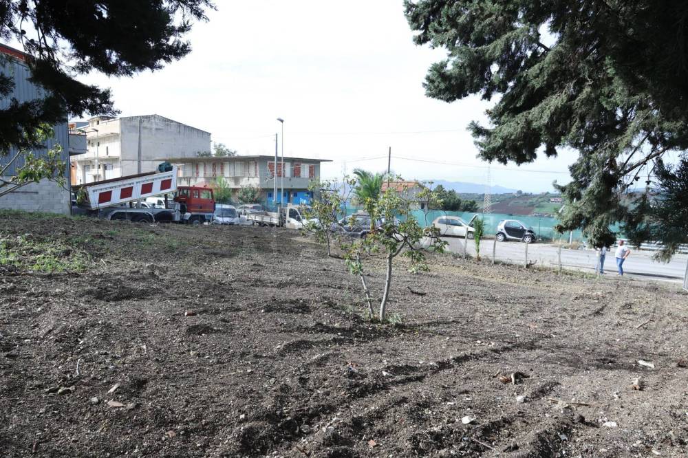 immagine annuncio 2 di 13