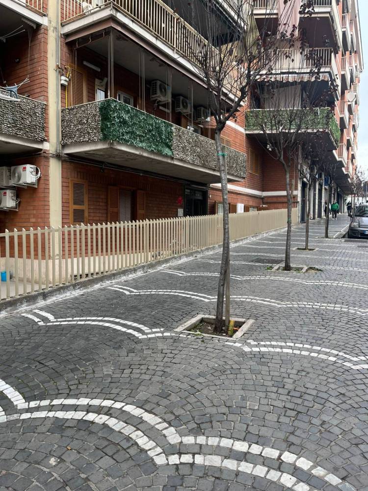 immagine annuncio 5 di 13