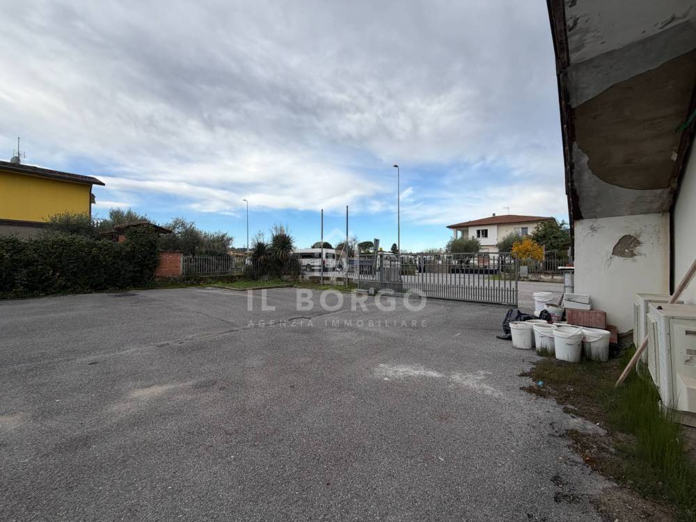 immagine annuncio 11 di 13