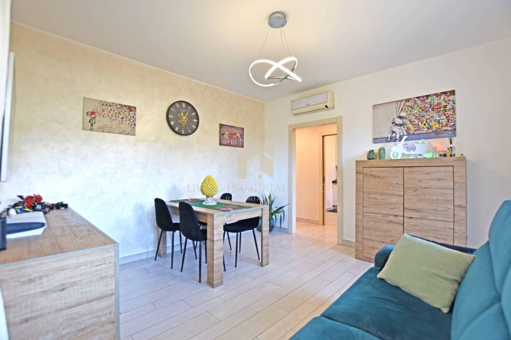 immagine annuncio 5 di 13