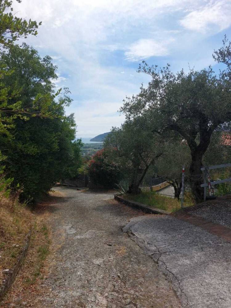 immagine annuncio 4 di 13