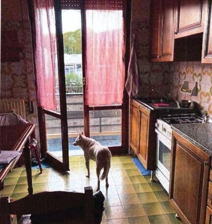 immagine annuncio 2 di 8