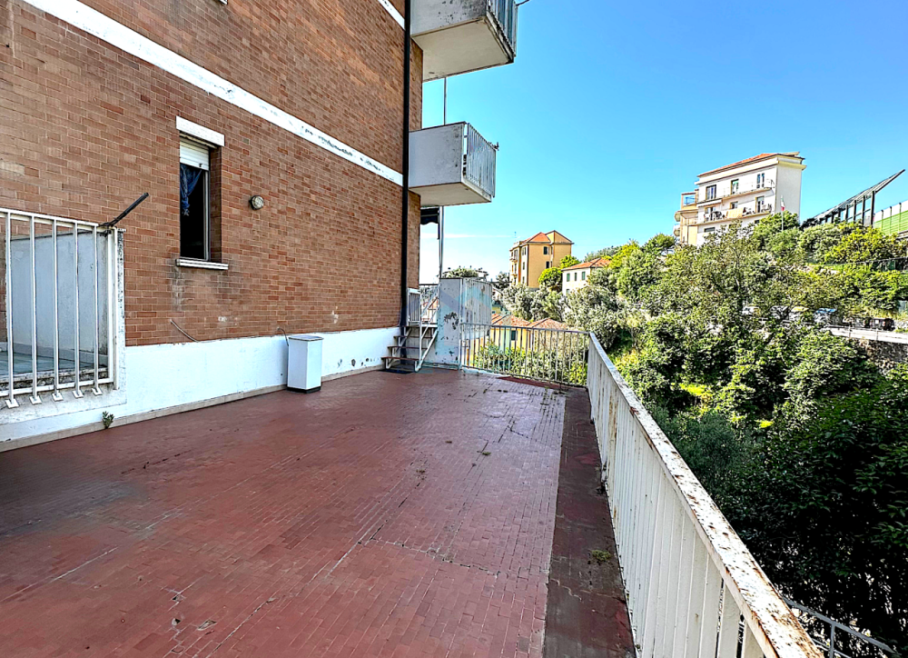 immagine annuncio 7 di 13