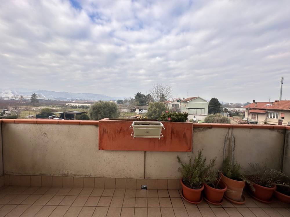 immagine annuncio 6 di 13