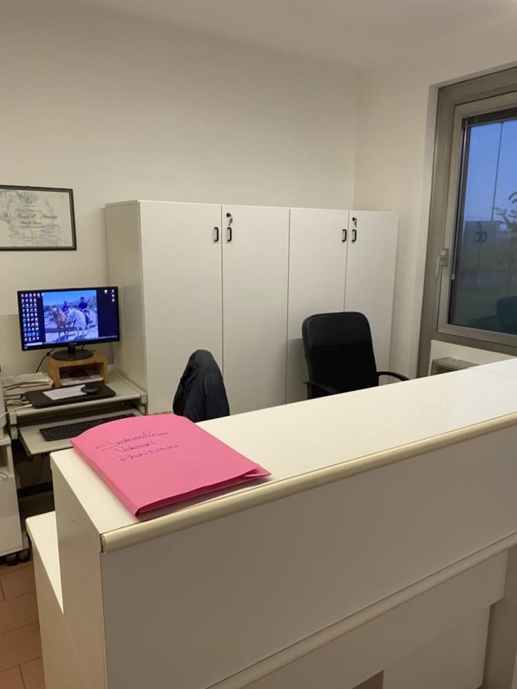 immagine annuncio 5 di 11