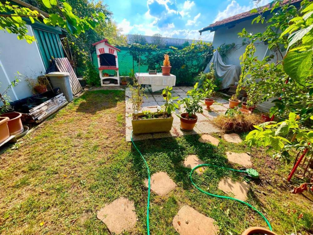 immagine annuncio 3 di 13