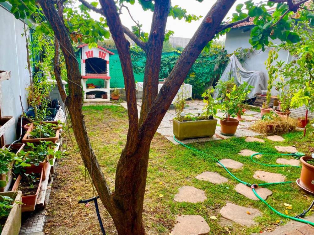 immagine annuncio 2 di 13