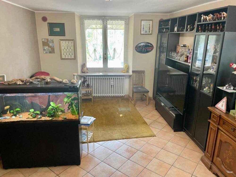 immagine annuncio 8 di 13