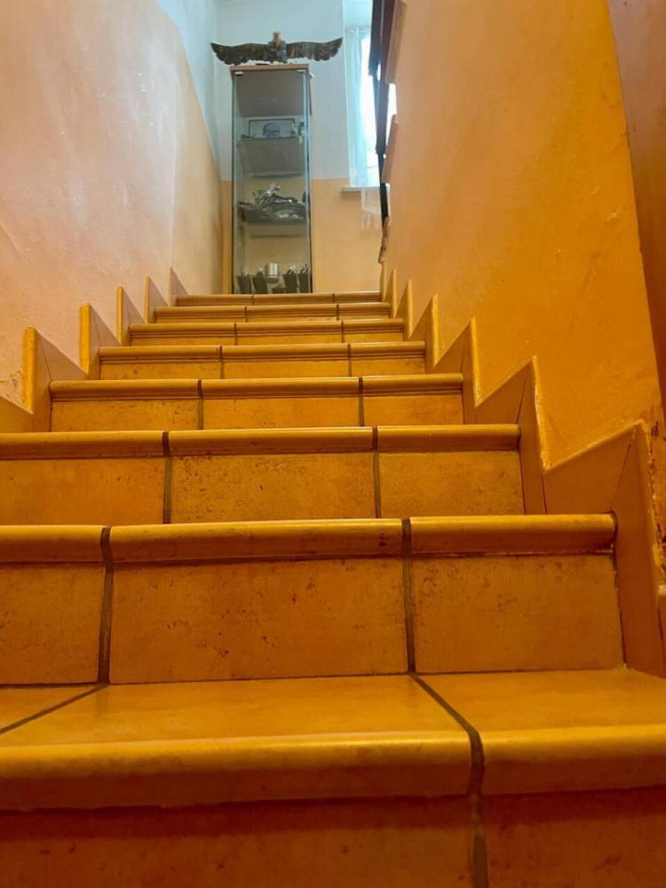 immagine annuncio 11 di 13