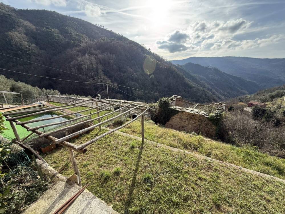 immagine annuncio 3 di 13