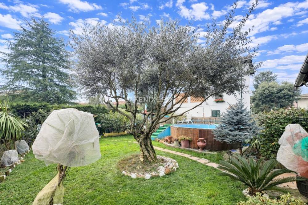 immagine annuncio 4 di 13