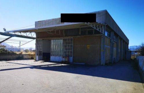 immagine annuncio 2 di 9