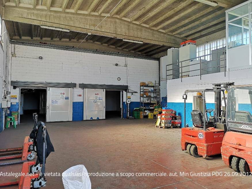 immagine annuncio 7 di 9