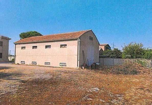 immagine annuncio 5 di 13