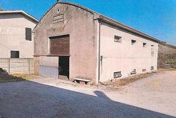 immagine annuncio 6 di 13